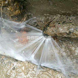 龙楼镇消防管道漏水检测